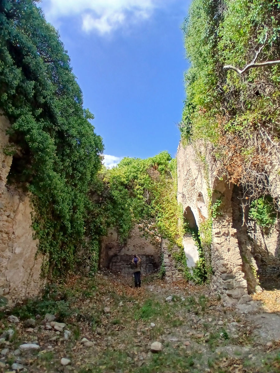 La foto mostra la chiesa del convento e in particolare la navata in direzione dell'abside.